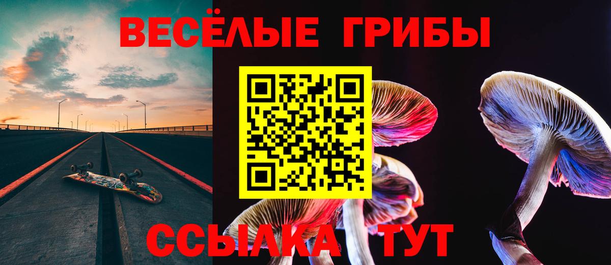 Галлюциногенные грибы Psilocybe  Вход с VPN  Галлюциногенные грибы ЛСД  Шебекино 